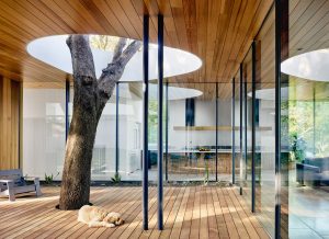 Natureza integrada: 17 projetos com árvores no interior